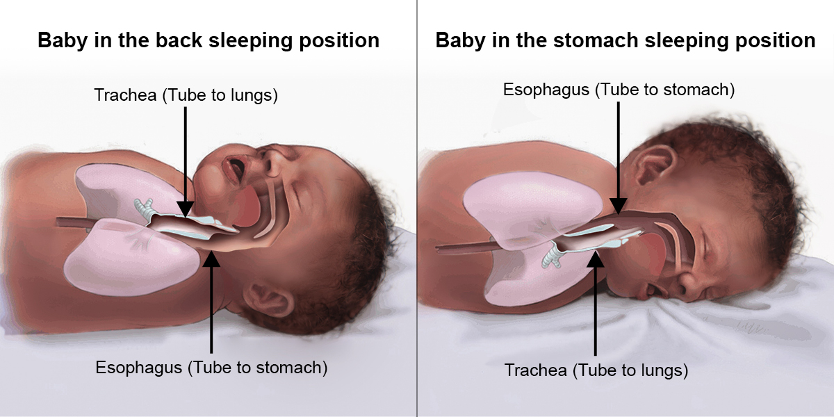 Image of diagram of baby sleeping both on it's back and stomach